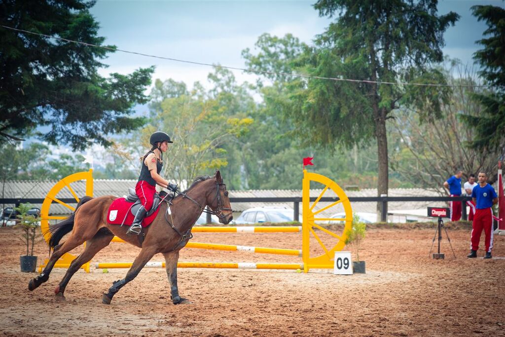 Foto: Nathália Schneider (Diário) - 