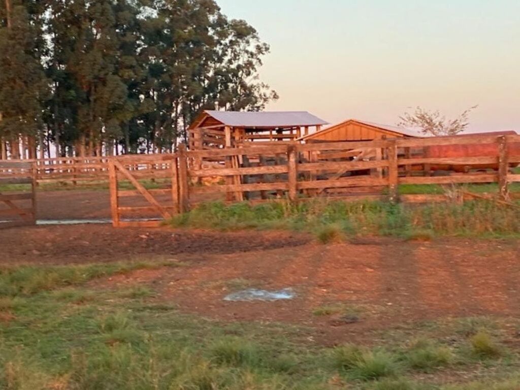 Fazendas do ex-presidente João Goulart levadas à venda no Estado não têm compradores