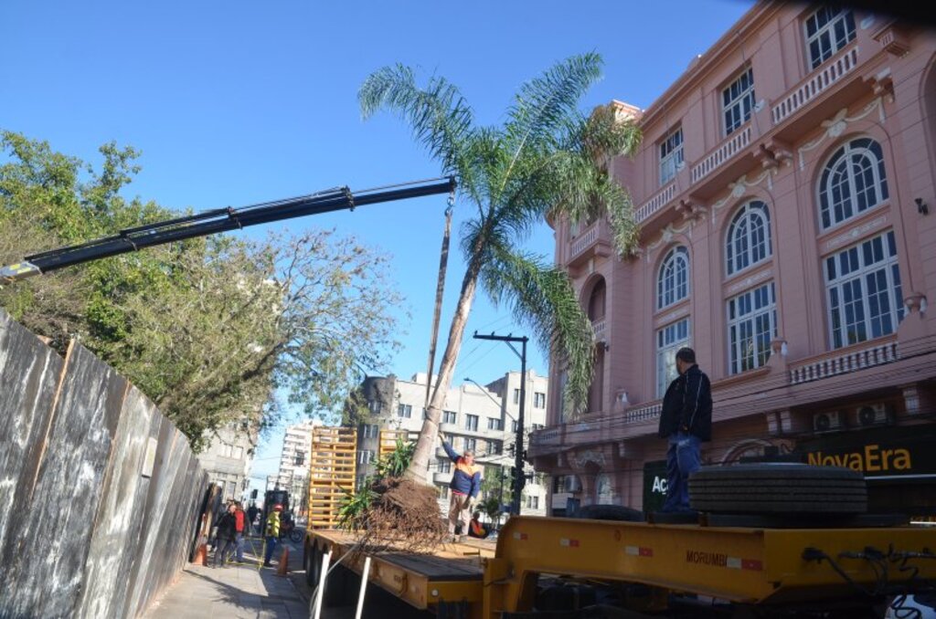 Equipes da prefeitura realizam retirada de árvores nativas da Praça Saldanha Marinho Equipes da prefeitura realizam retirada de árvores nativas da Praça Saldanha Marinho