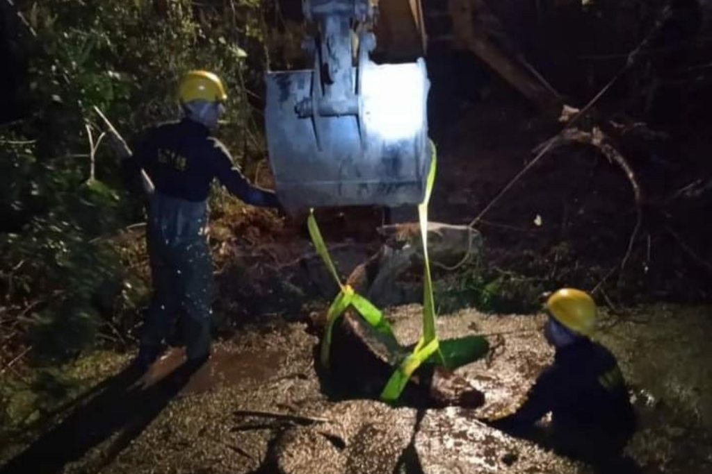 Foto: Bombeiros (Divulgação) - 