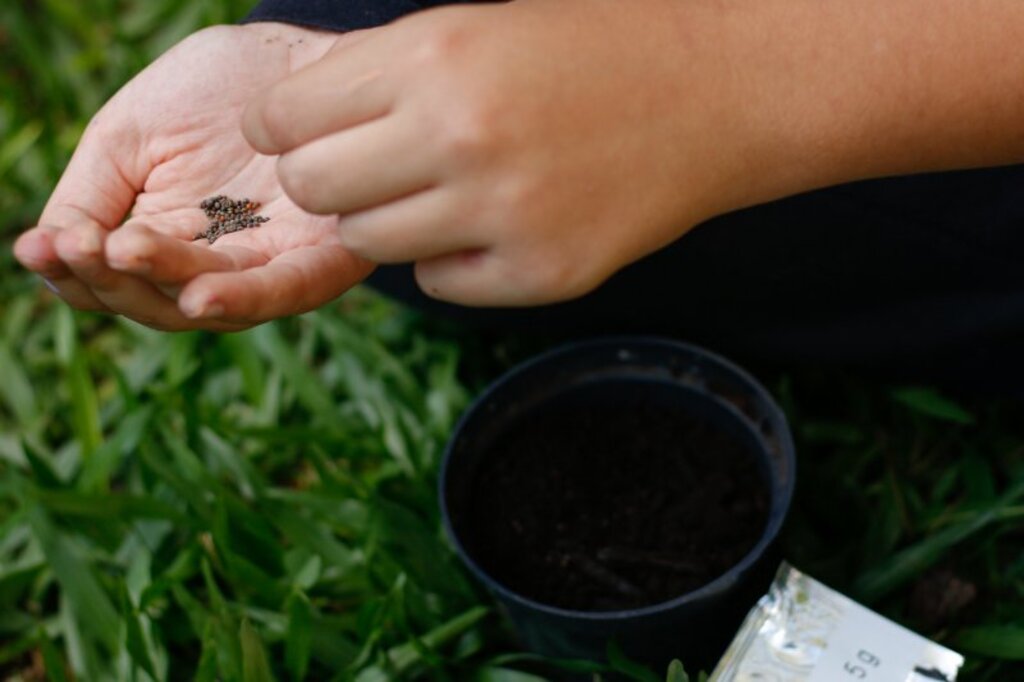 título imagem Reabertas inscrições para formação de professores em educação ambiental em Santa Maria