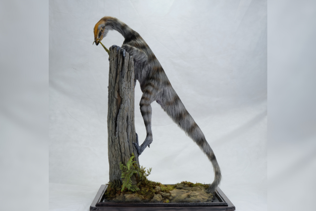 Foto: Maurílio Oliveira - Escultura de Venetoraptor gassenae em vida