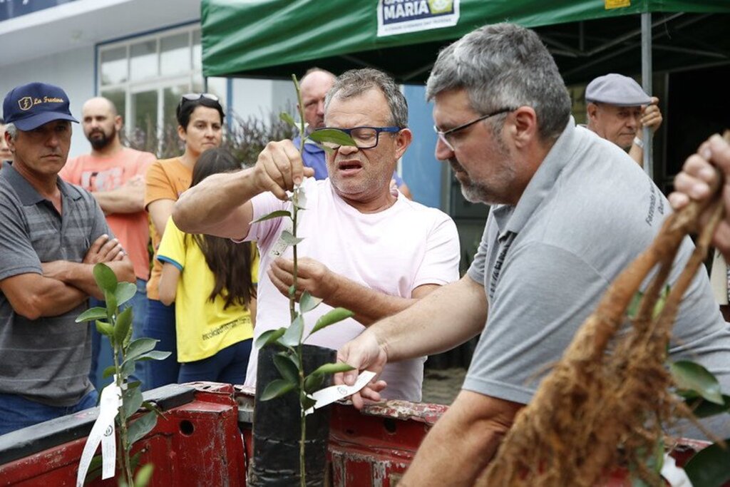 título imagem Programa municipal investe R$ 35 mil em plantas frutíferas e entrega cerca de 1,5 mil mudas a agricultores familiares