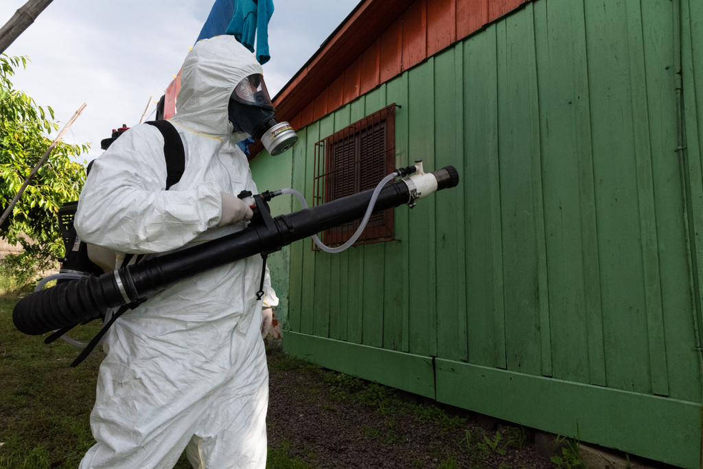 título imagem Proximidade com a primavera acende alerta para novo aumento de casos de dengue em Santa Maria