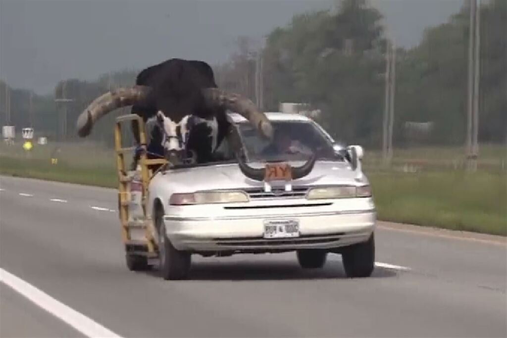 Foto: Reprodução News Channel Nebraska Northeast - 