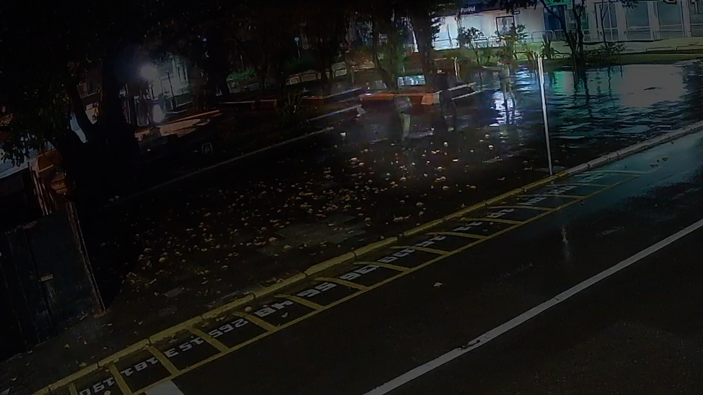 Foto: Reprodução - Dupla foi detda após serem flagradas pelas câmeras de videomonitoramento do Ciosp