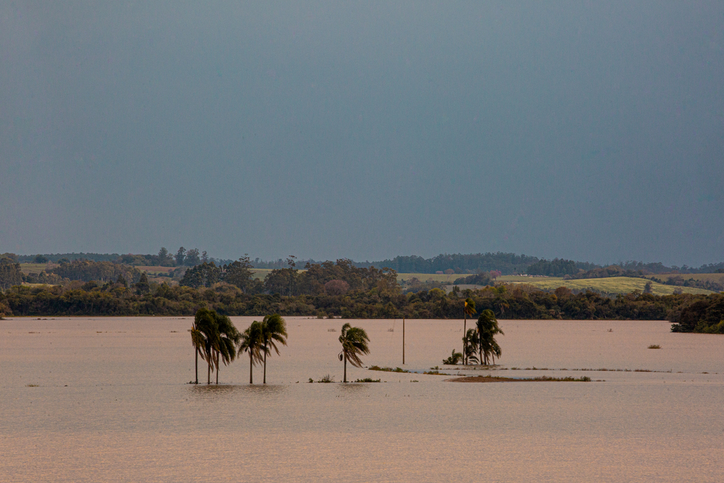 Confira os acumulados de chuva das últimas 24 horas e a previsão do tempo para os próximos dias