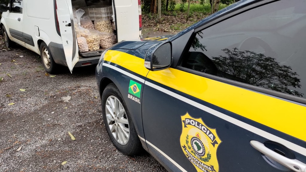 Foto: Polícia Rodoviária Federal (Divulgação) - 