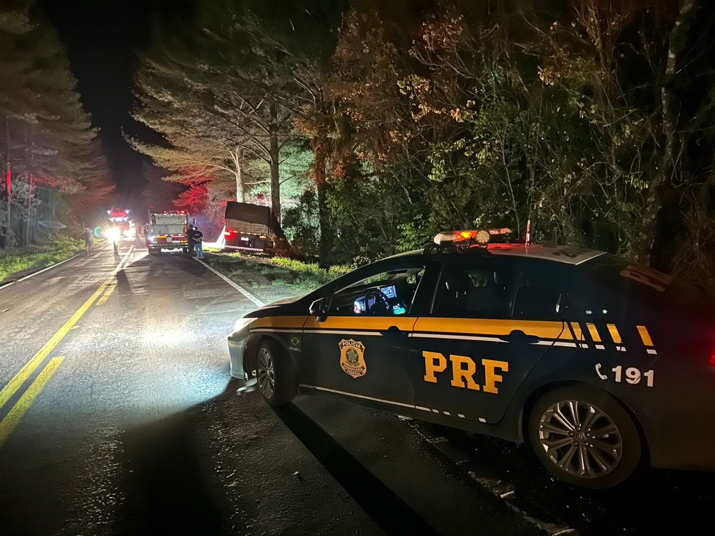 título imagem Motorista morre após carreta sair da pista e colidir em árvore na BR-287 em Jaguari