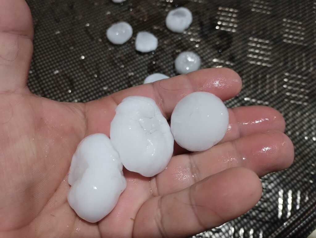 Foto: Redes Sociais - 