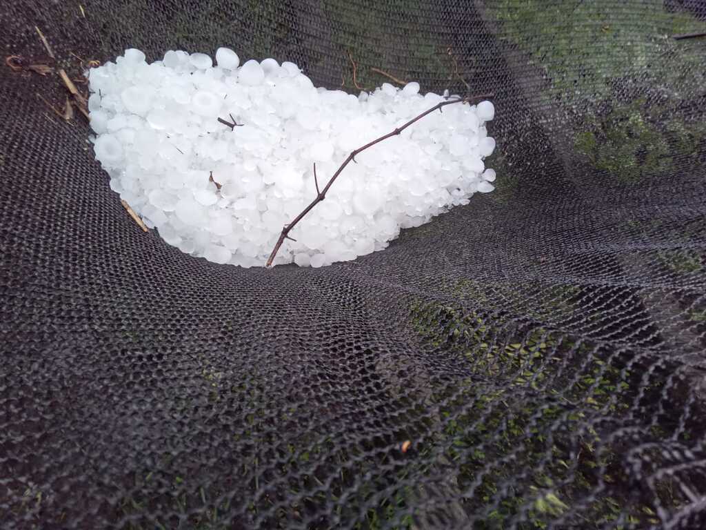 título imagem Queda de granizo afeta cerca de 300 casas em cidade da região;  instabilidade segue ao longo do dia