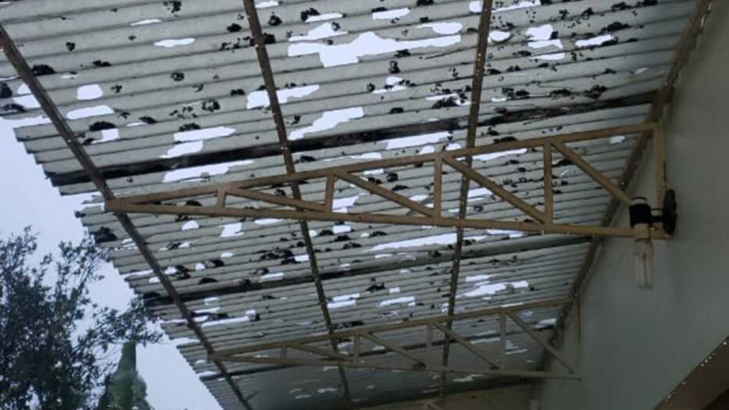 Foto: prefeitura de Faxinal do Soturno - 