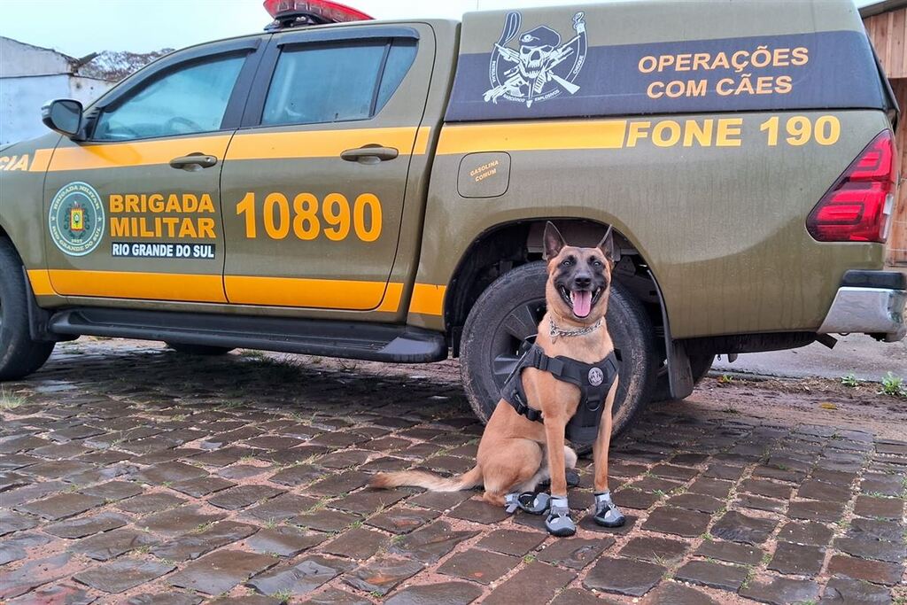 Galeria de imagens: Operação contou com apoio do canil do 2º Batalhaõ de Polícia de Choque de Santa Maria