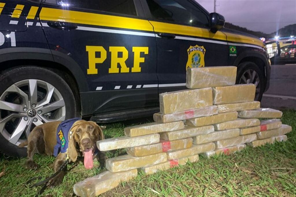 título imagem Adolescente de Santa Maria é apreendido com 22 kg de maconha dentro de ônibus no Rio de Janeiro