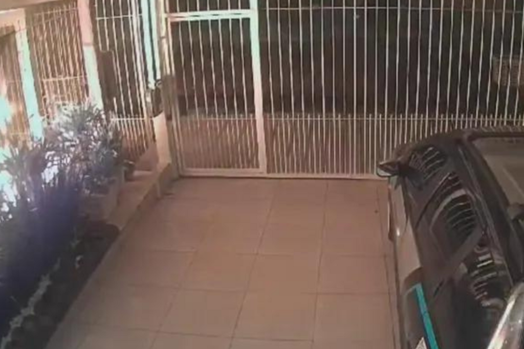 Foto: reprodução - 