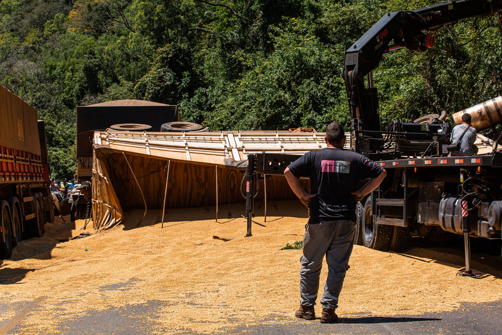 Foto: Nathália Schneider (Diário) - 