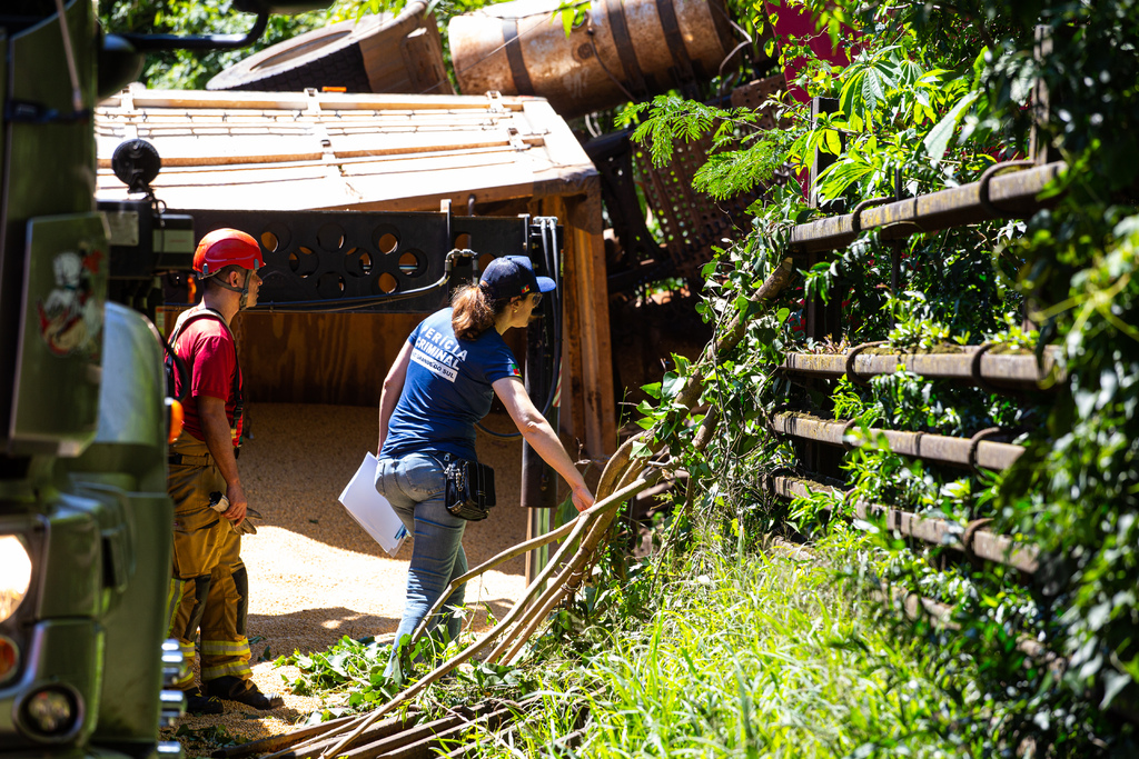 título imagem Motorista do caminhão envolvido em acidente na BR-158 presta depoimento; condições da via serão investigadas pela polícia