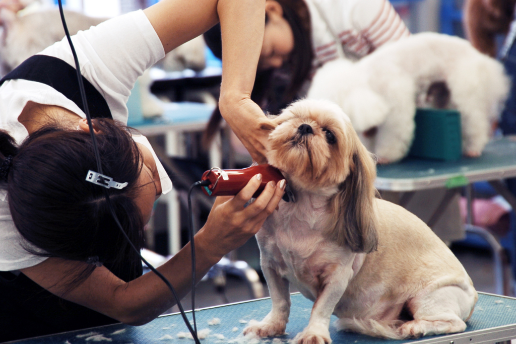 Shopping Praça Nova recebe campeonato inédito de tosa de animais