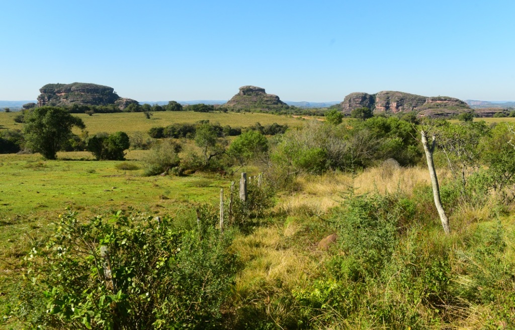 título imagem Da ovelha à lã: novelaria de Caçapava proporciona uma experiência encantadora para os turistas