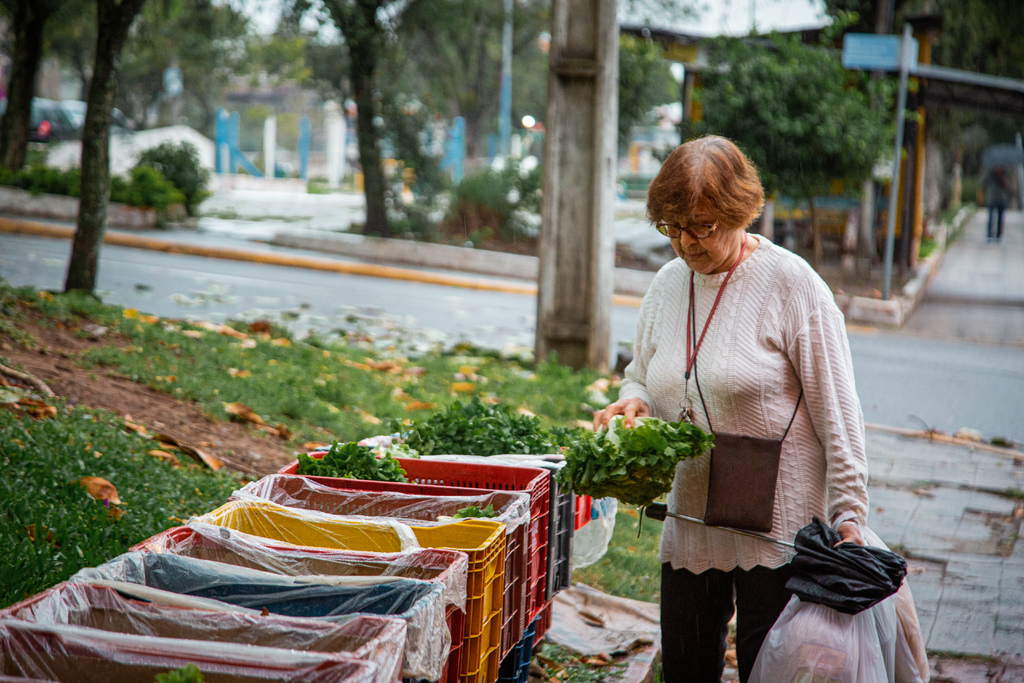 título imagem Chuvas e granizo dos últimos meses impactam a qualidade e o preço de hortaliças em feiras de Santa Maria