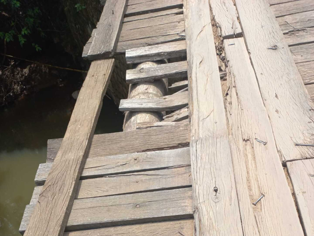 Galeria de imagens: Registro feito em 6 de outubro de 2023.