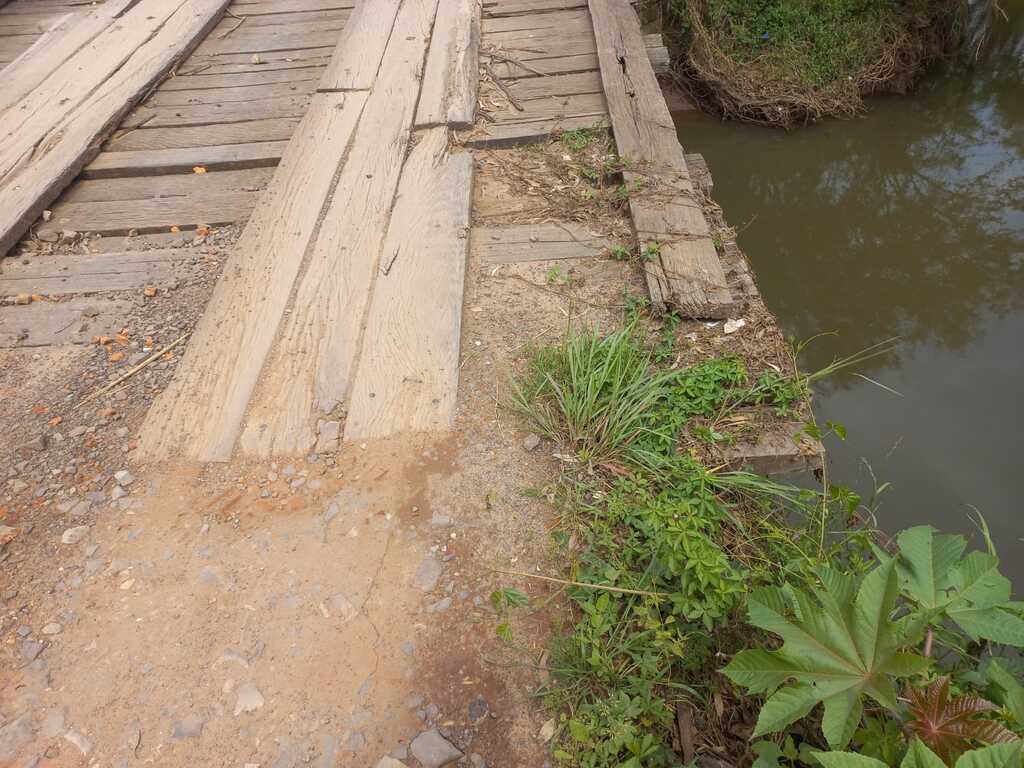 Galeria de imagens: Registro feito em 6 de outubro de 2023.