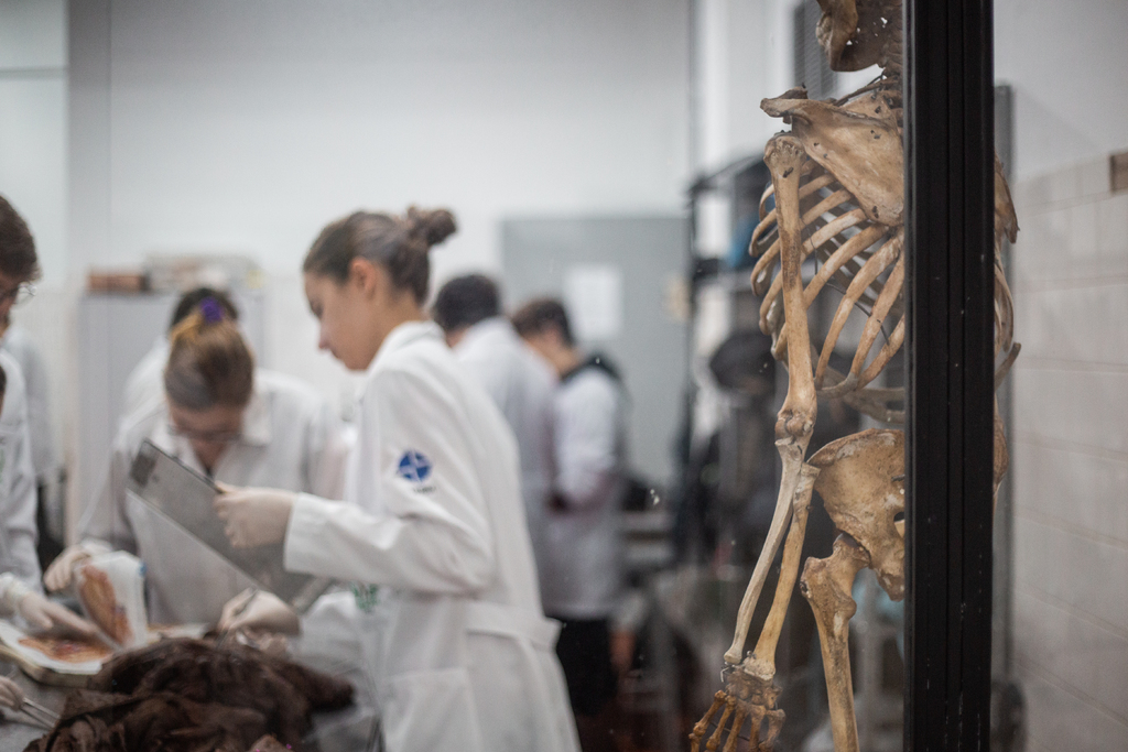 Foto: Nathália Schneider (Diário) - 