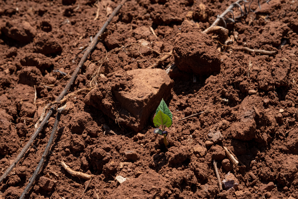 Foto: Eduardo Ramos (Diário) - 