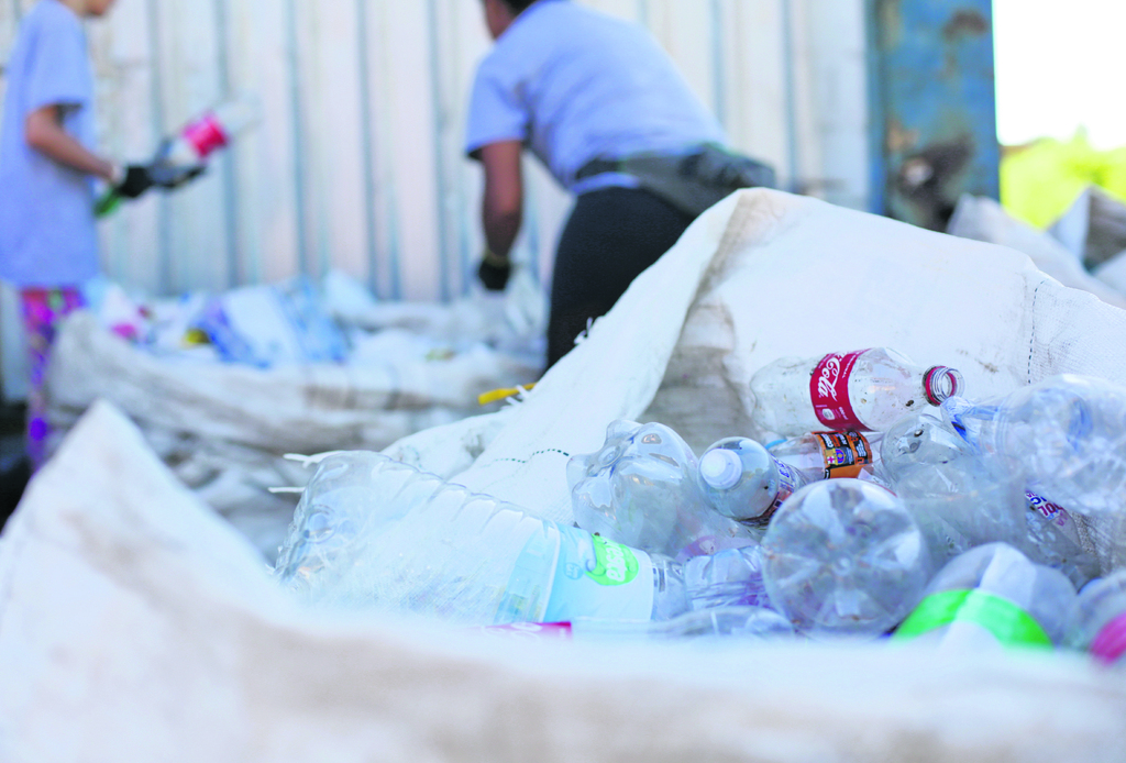 Reciclagem e dicas para separar o lixo doméstico
