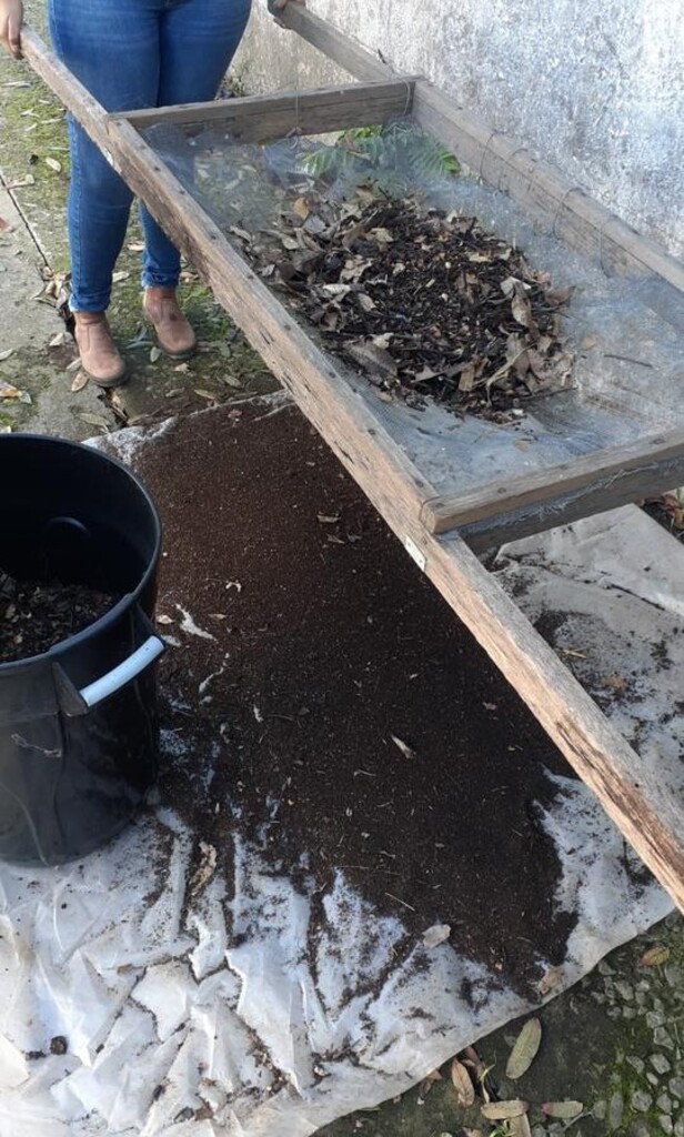 Divulgação - Peneira do material orgânico resultante da decomposição.