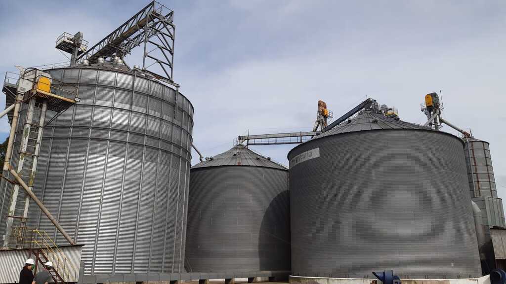 Cotrisul deverá receber mais de 700 mil sacos de trigo desta safra
