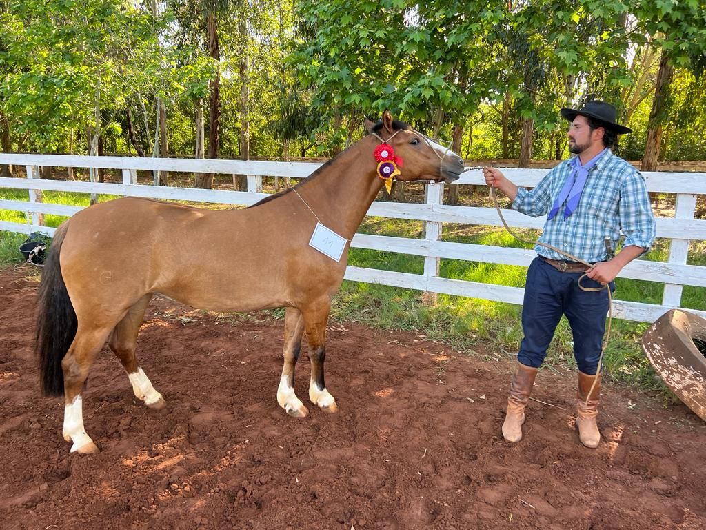 Foto: Arquivo Pessoal - 