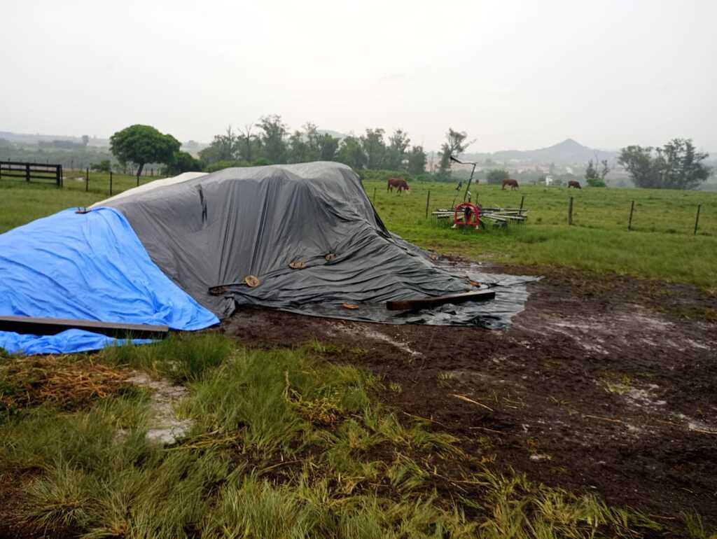 Esterco de peru pode ser a causa do mau cheiro em Santa Maria