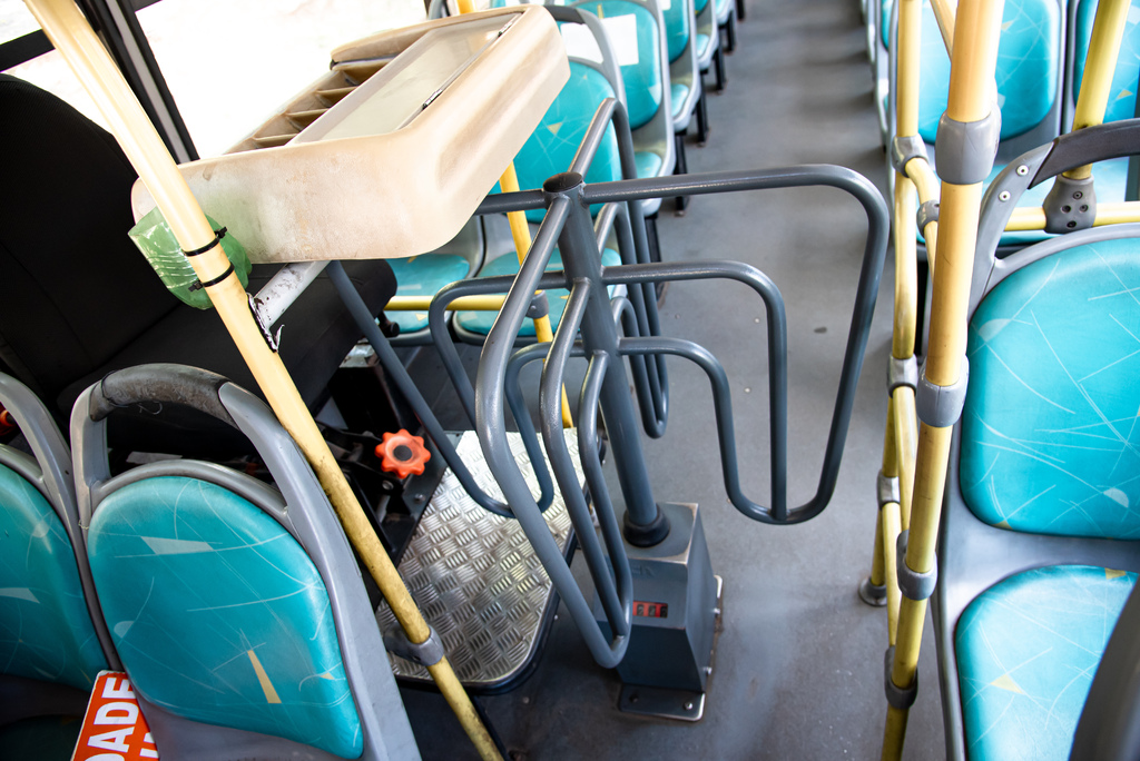 título imagem Prefeitura sanciona lei que permite transportar animais em ônibus coletivo de Santa Maria