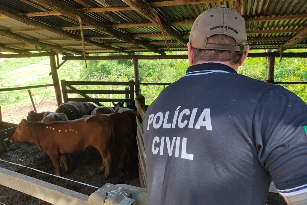 título imagem Suspeito de abigeato na região se entrega à polícia em Santa Maria