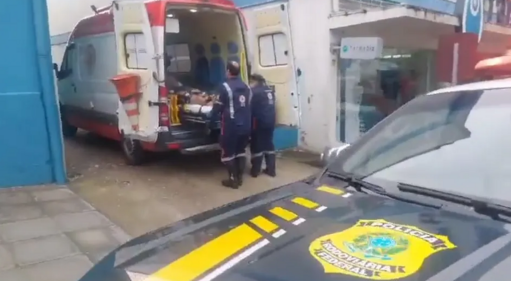 título imagem Caminhoneiro é atacado por abelhas, aciona a PRF e vai parar no hospital em cidade da região