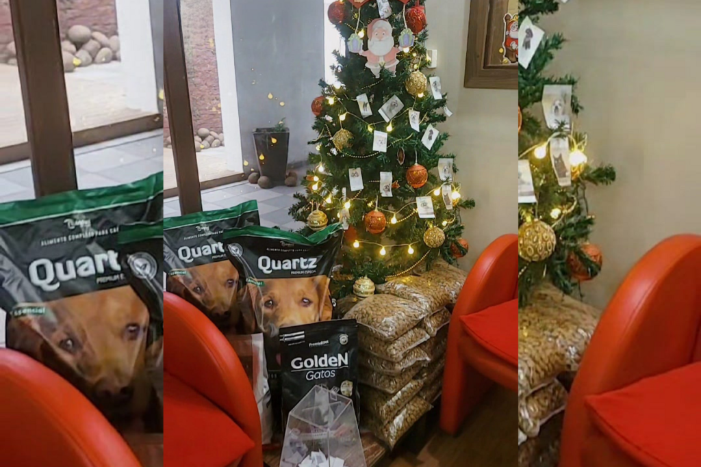 Galeria de imagens: Espaço disponibilizado para a campanha no pet shop