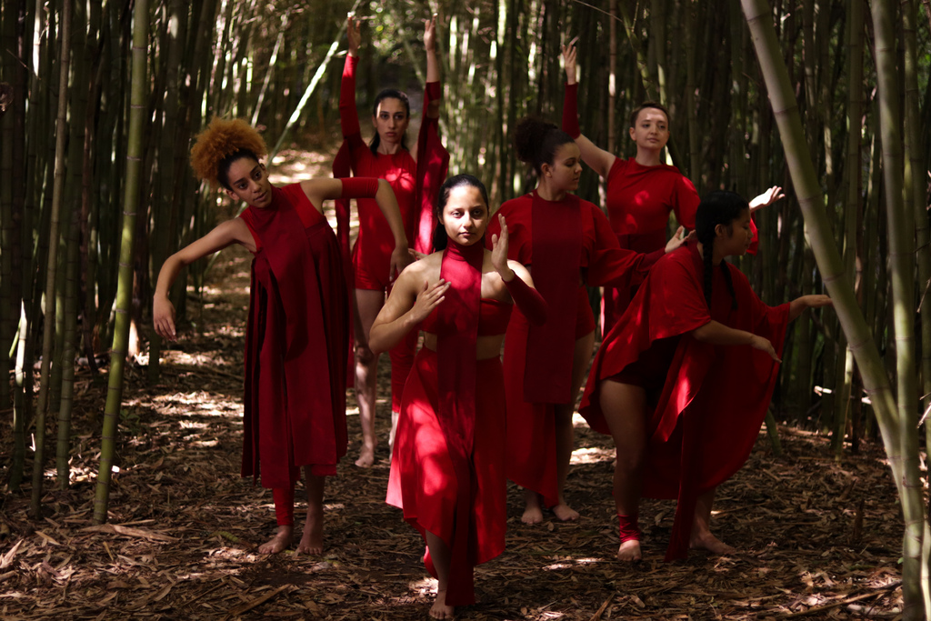 título imagem Etapa final das gravações do documentário Tesmofórias retrata a natureza humana através da dança