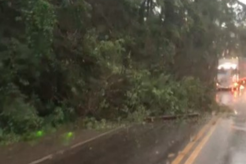 Rodovia que liga Santa Maria e Itaara está liberada após bloqueio