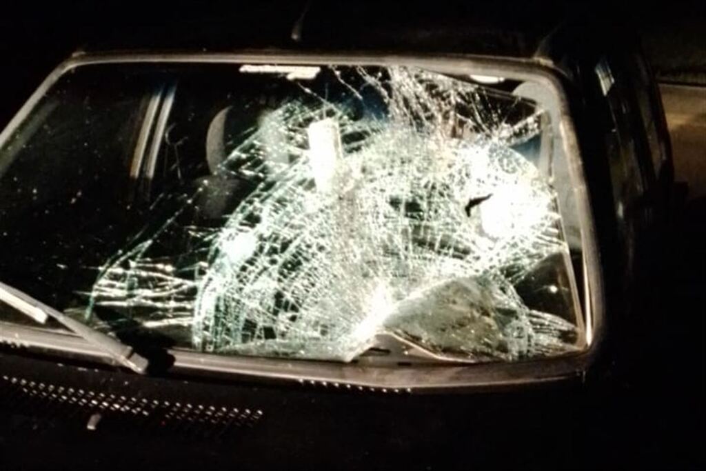 título imagem Motorista fica ferido após atropelar vaca em rodovia da região