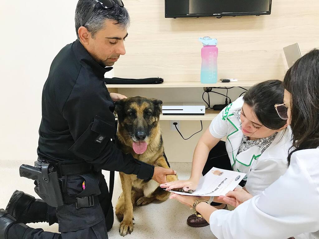 título imagem Projeto 'Cães com Amor', da 2ª Delegacia Penitenciária Regional com a Apae, entrega certificados aos participantes
