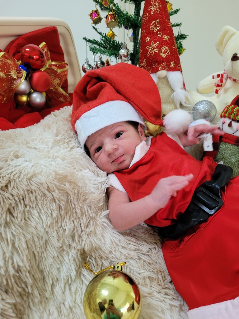 Galeria de imagens: 