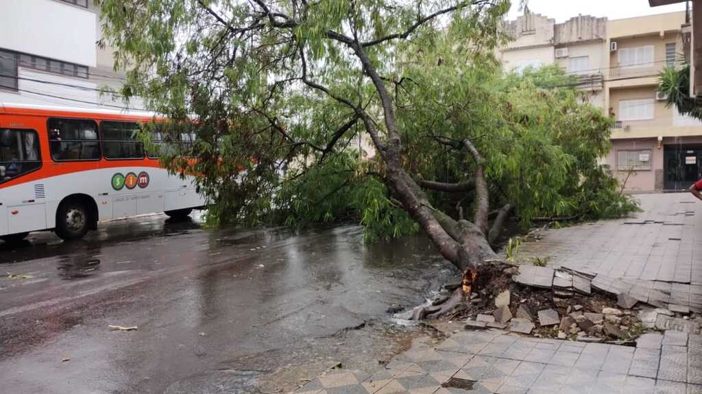 título imagem Alagamento, queda de árvore e outros transtornos são registrados em Santa Maria nesta sexta-feira