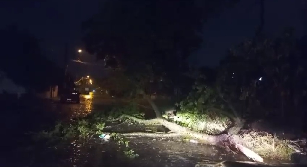 Temporal destelha casas, derruba árvores e deixa vários bairros de Santa Maria sem luz; saiba como pedir ajuda