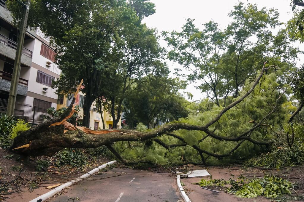 Foto: Nathália Schneider (Diário) - 