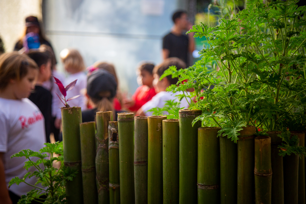 título imagem Jardim Botânico da UFSM promove Passeio de Férias para crianças; saiba como realizar a inscrição