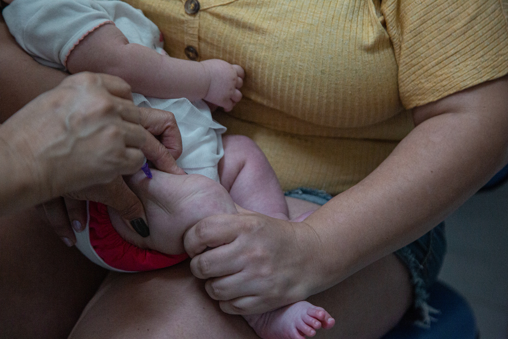 Foto: Nathália Schneider - 