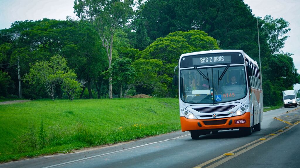 título imagem Total de passageiros do transporte coletivo cresce em 2023, mas pagantes diminuem