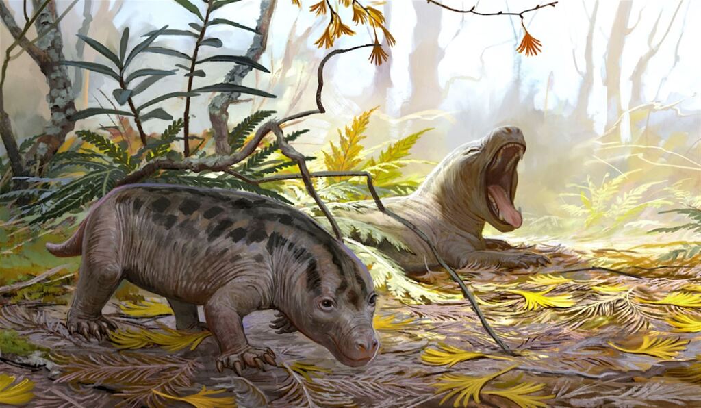 Foto: Divulgação - A arte mostra como o cinodonte achado na região seria. Ele é elo evolutivo entre répteis e mamíferos.