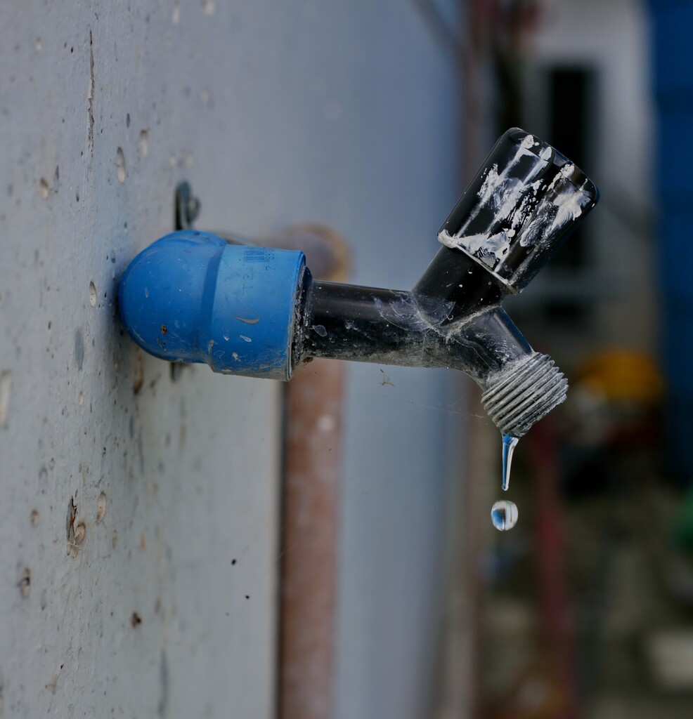 Foto: Tiago Coutinho (Arquivo) - 